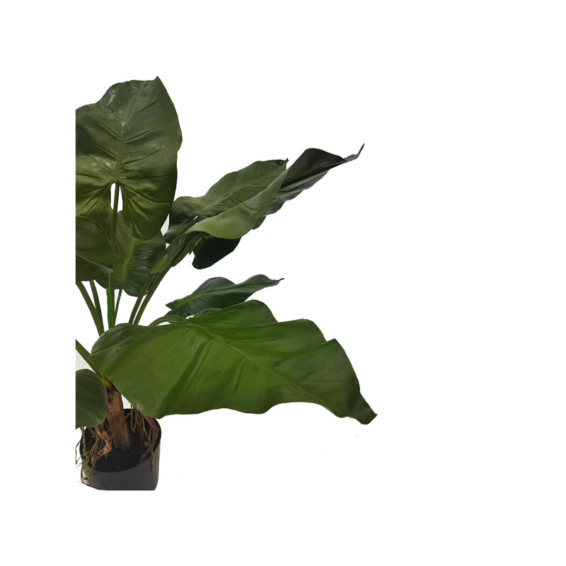 P-NN113-NT 130cm high 'nearly natural' Elephant Ear plant