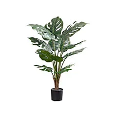Monstera Palm - 85cm ​P-NN116-NT