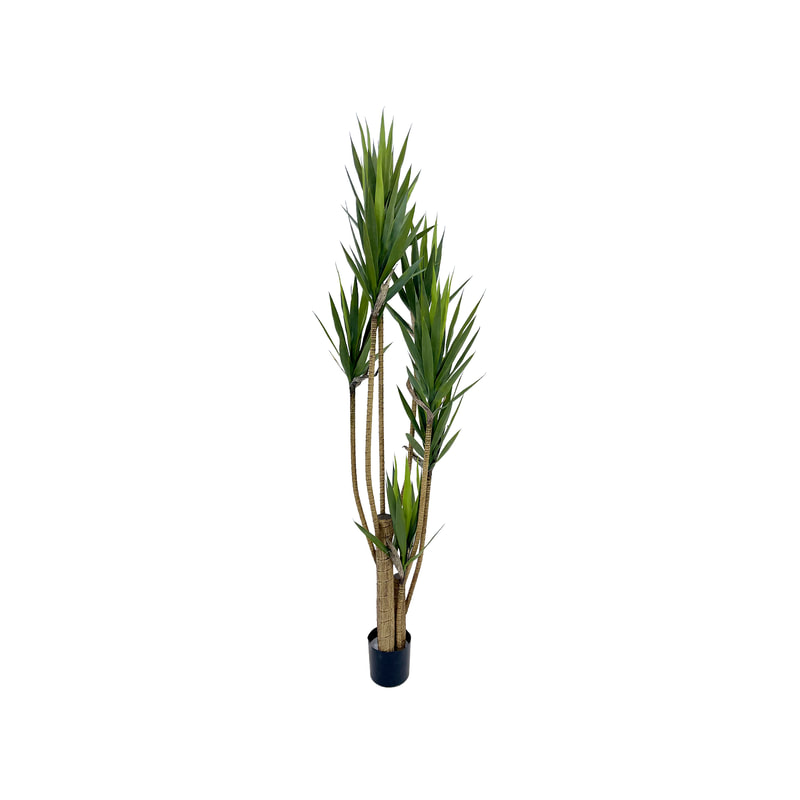 P-NN123-NT 235cm high  'nearly natural' Yukka plant