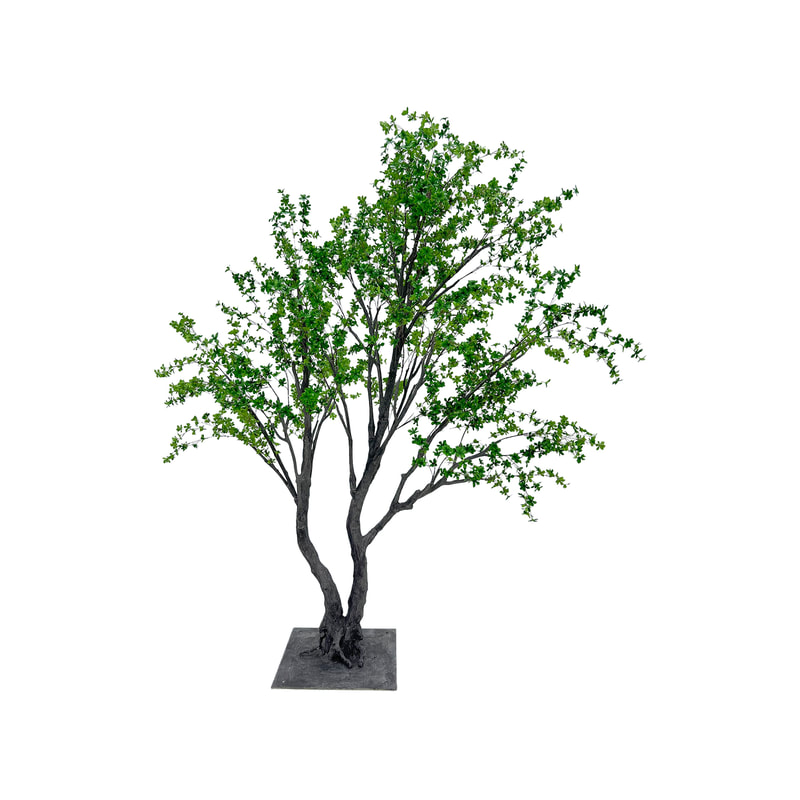 P-NN126-NT 280cm high 'nearly natural' Enkianthus Perulatus