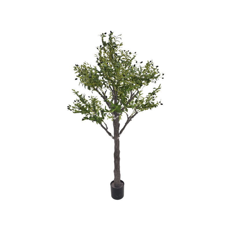 P-NN128-NT 200cm high 'nearly natural' olive tree with green leaves