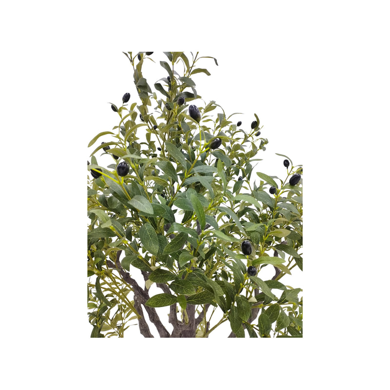 P-NN128-NT 200cm high 'nearly natural' olive tree with green leaves