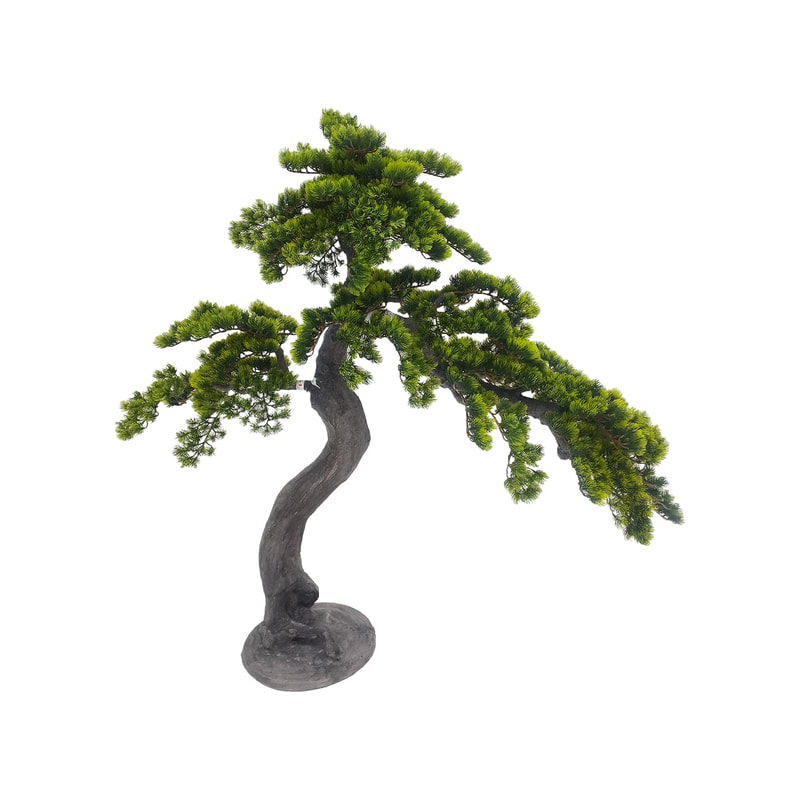 P-NN130-NT Type 1 120cm high 'nearly natural' bonsai Pine tree