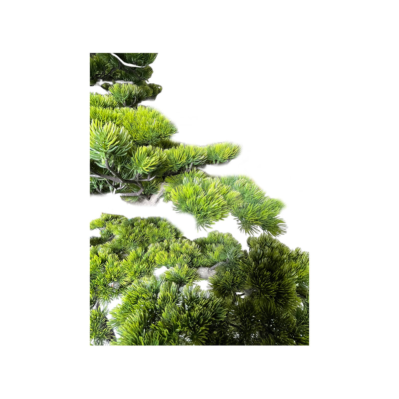 P-NN132-NT Type 3 180cm high 'nearly natural' bonsai Pine tree