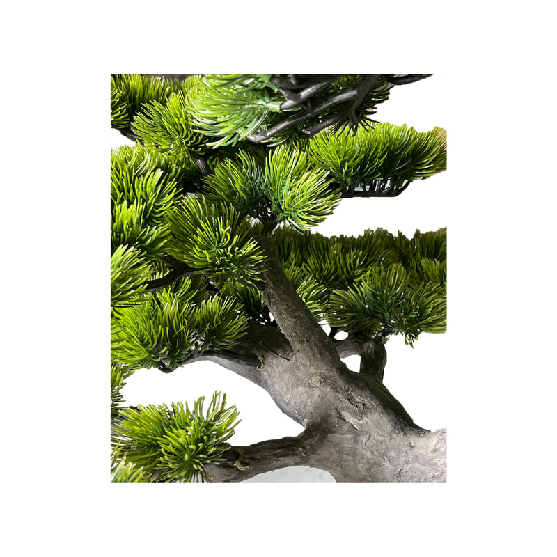 P-NN133-NT Type 4 220cm high 'nearly natural' bonsai Pine tree