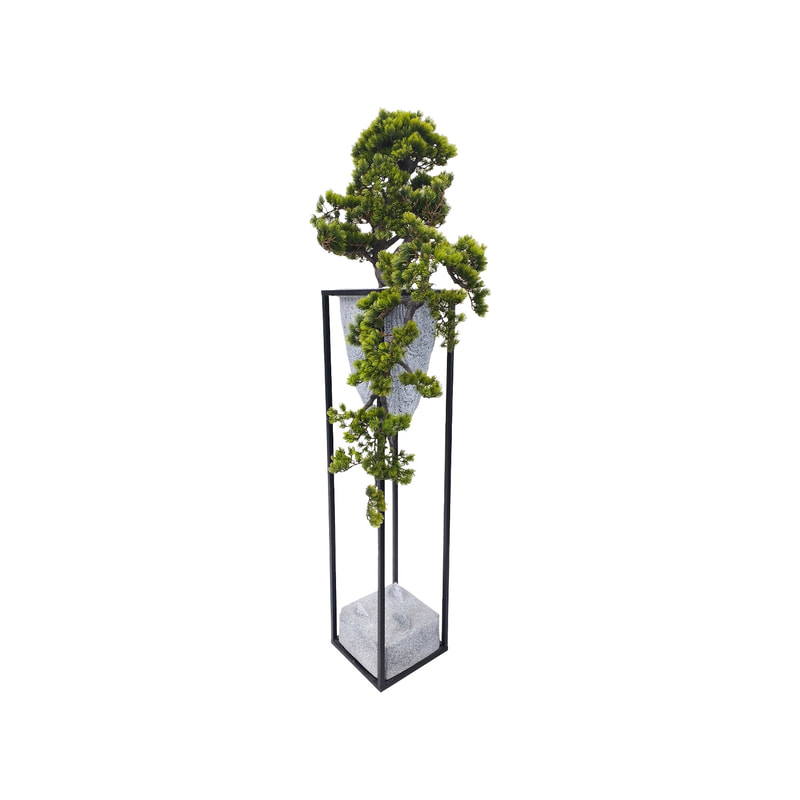 P-NN134-NT Type 5 200cm high 'nearly natural' bonsai Pine tree on steel frame