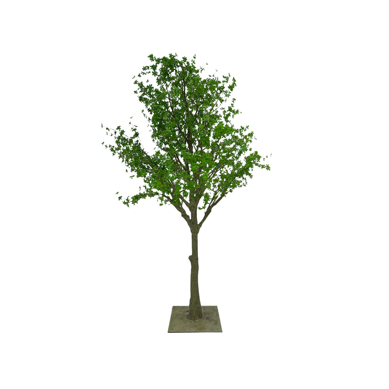 P-NN135-NT 330cm high 'nearly natural' Enkianthus Perulatus
