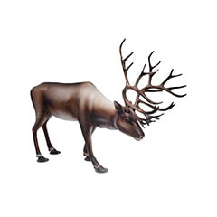 Life-Size Reindeer  ​P-PH131-LI