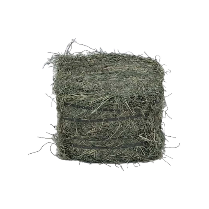 P-PH403-NT Type 1 hay bale in square form