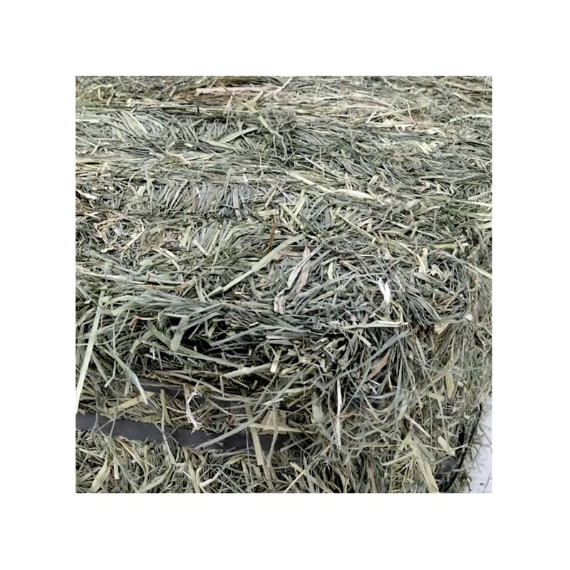 P-PH403-NT Type 1 hay bale in square form