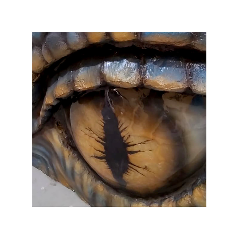 P-PH407-LI 100cm dragon eye in blue + gold detail