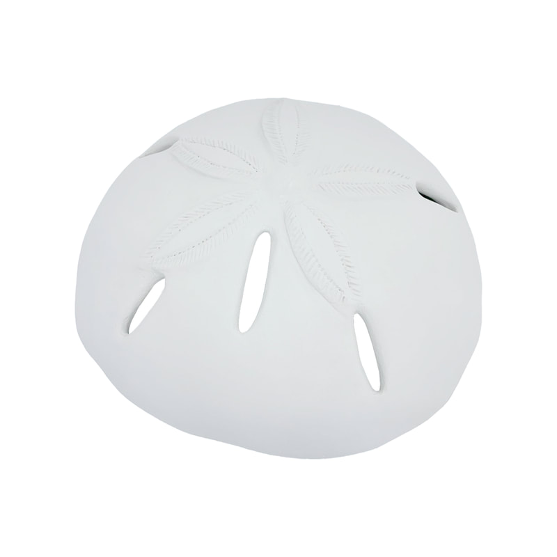 P-PH706-BE 120cm type 1 sand dollar set