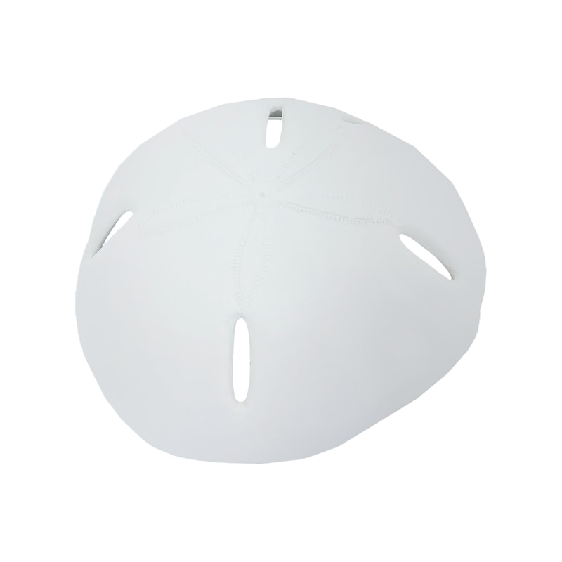 P-PH707-BE 120cm type 2 sand dollar set