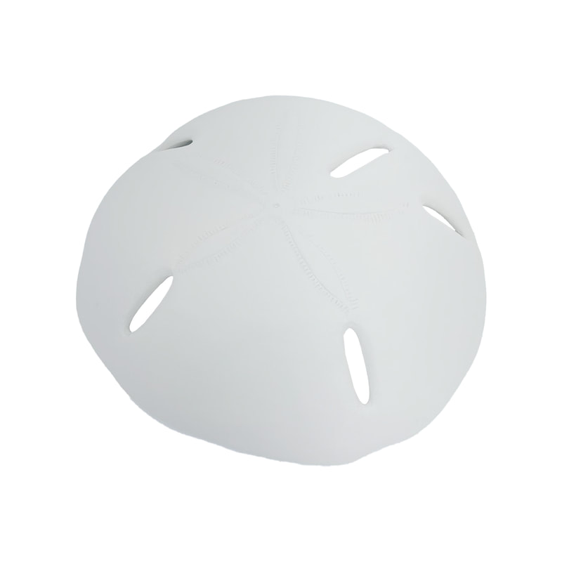 P-PH707-BE 120cm type 2 sand dollar set
