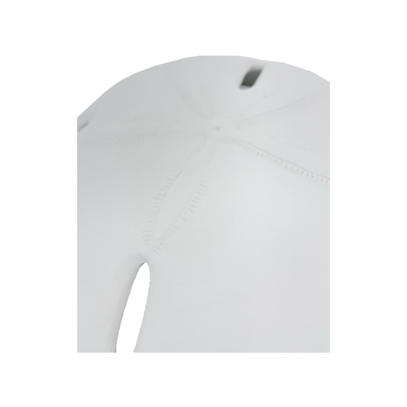 P-PH707-BE 120cm type 2 sand dollar set