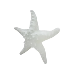 Starfish - Type 1 - Beige ​P-PH714-BE
