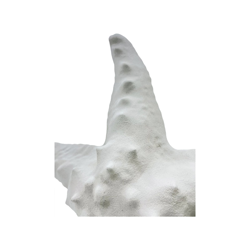P-PH714-BE 190cm type 1 starfish in beige