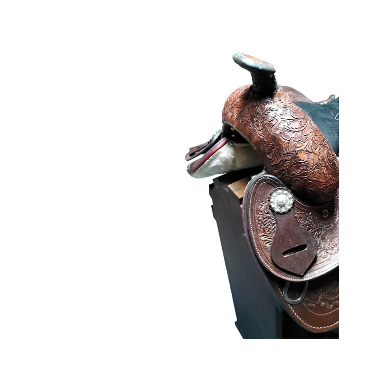 P-PK805-MC Type 2 saddle with wooden stand
