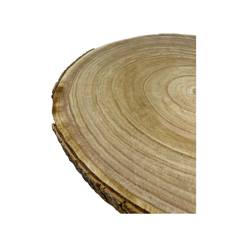 P-PM111-NW 40cm Lockheart slice of natural wood with bark