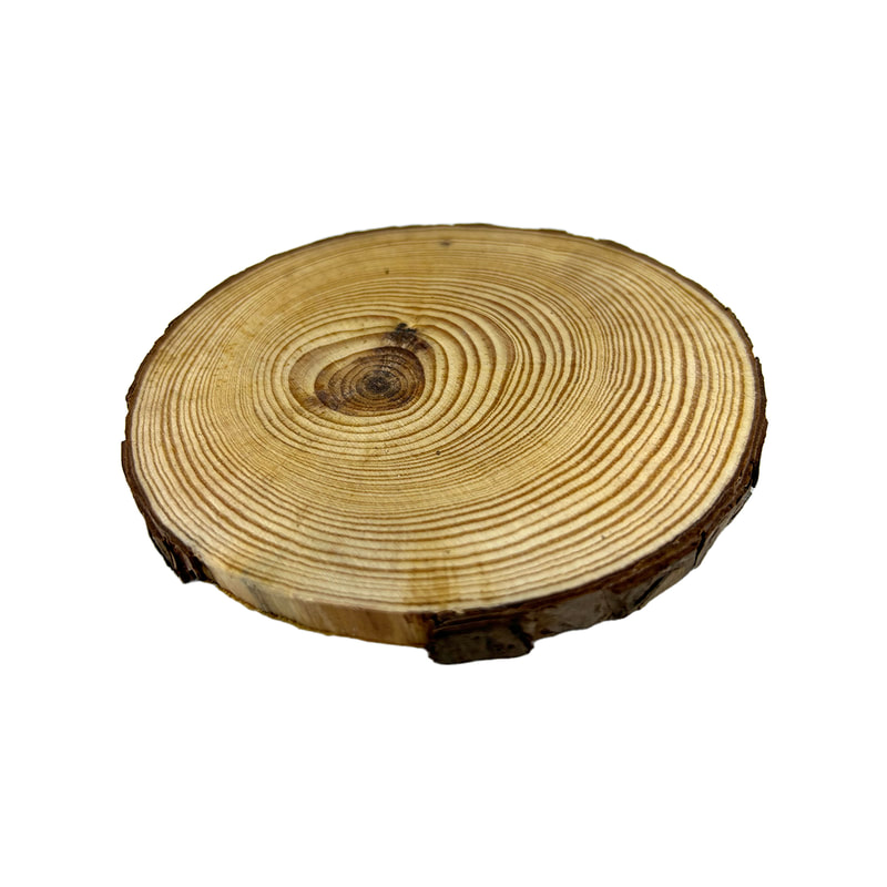 P-PM113-NW 10cm Lockheart slice of natural wood with bark