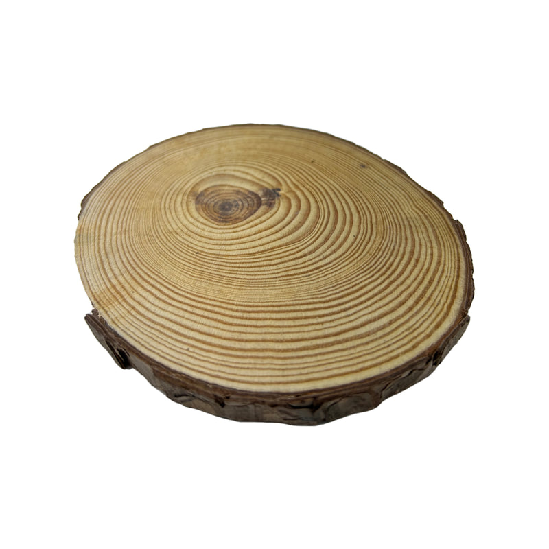 P-PM113-NW 10cm Lockheart slice of natural wood with bark