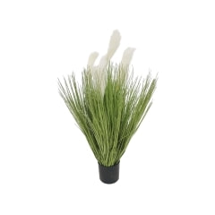Fountain Grass - 110cm ​ ​P-BM113-NL