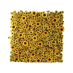 Flower Wall - Yellow P-DP108-YL