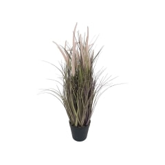 Fountain Grass - 80cm P-BM114-NL