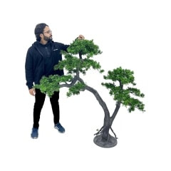 Bonsai Pine Tree - Type 2 P-NN131-NT