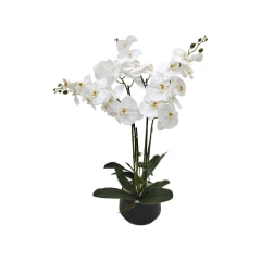 Orchid - 89cm - White​ ​P-AP105-WH