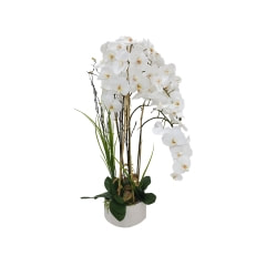 Orchid - 113cm - White ​P-AP102-WH