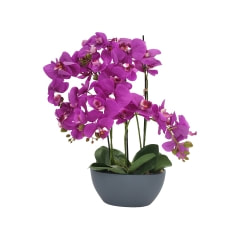 Orchid - 65cm - Hot Pink​ ​P-AP103-HP