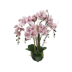 Orchid - 71cm - Light Pink ​ ​P-AP104-LP