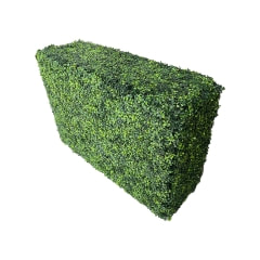 Short Box Hedge - Green P-DP251-GR
