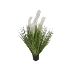 Fountain Grass - 110cm P-BM113-NL
