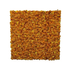Flower Wall - Orange P-DP101-OR