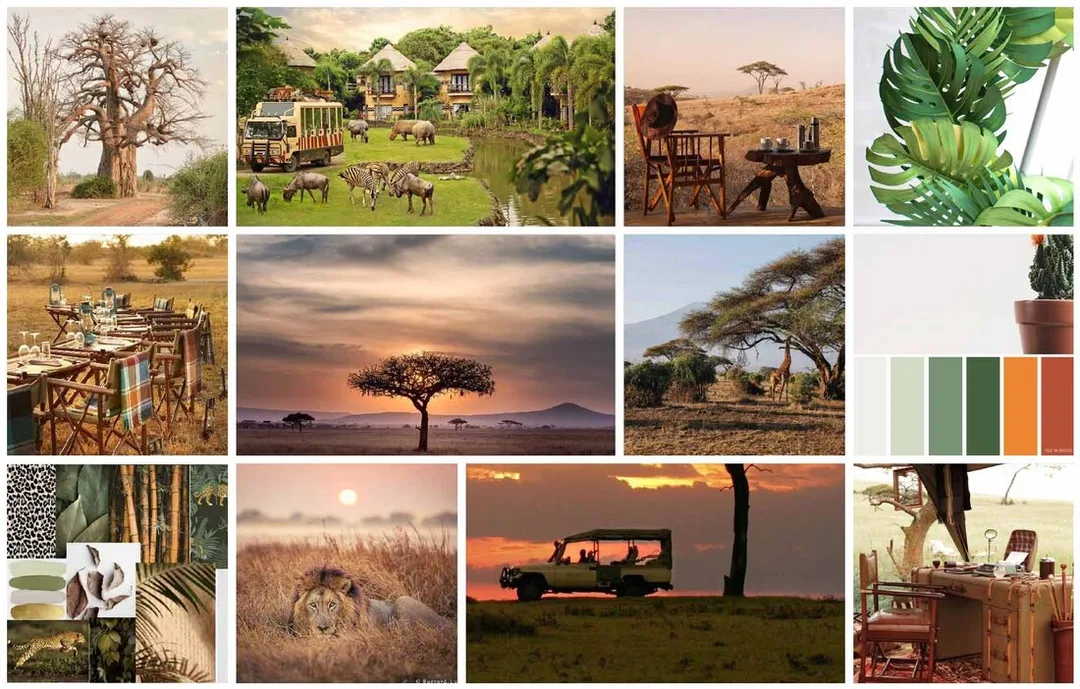 Safari Theme Ideas