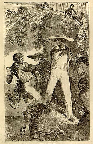 Image description