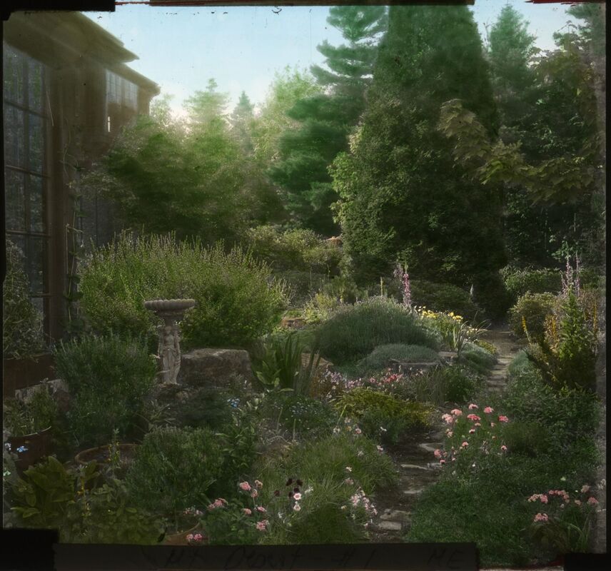 Image description