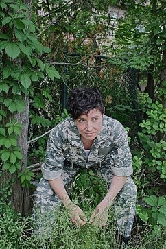 Image description