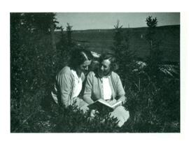 Image description