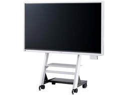 Ricoh Interactive Whiteboard