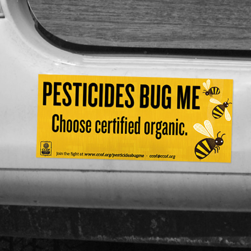 Print Bumper Sticker In Custom Size