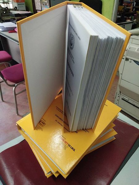 Print Built-in Drawing Book