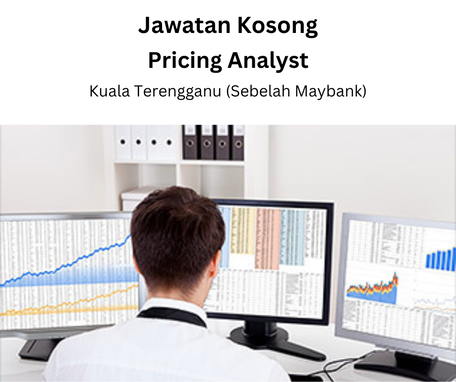 Job Vacancy Pricing Analyst