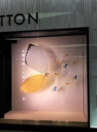 Window Display Installation