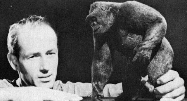 Picture
