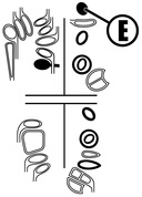 Bassoon Fingering E