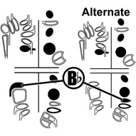 Bassoon Fingering Alternate