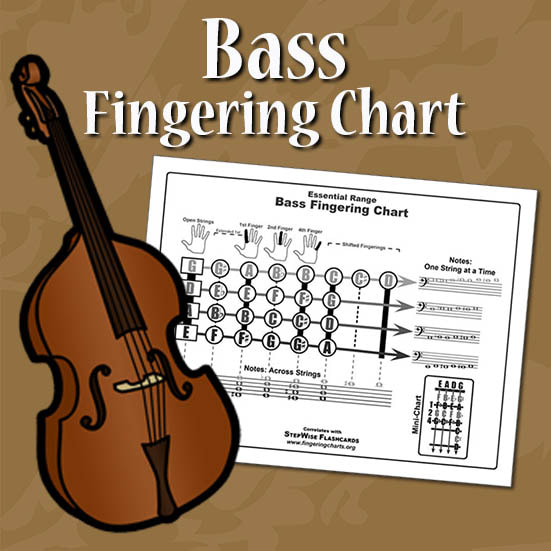 How to play Bass notes  - fingering chart, flashcards, and the NinGenius app.